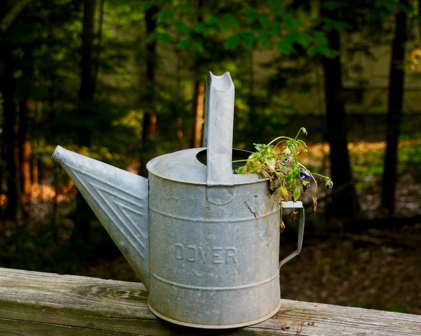 Plant watering can with flowers