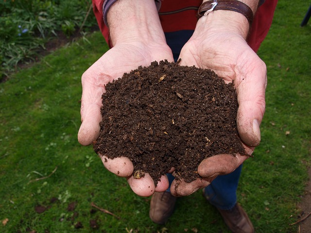 Prepared potting soil in a person hand